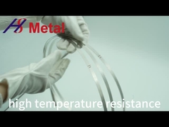 99.9% 純冷たいローリング モリブデン製紙ストリップ 熱シールド用金属製紙板